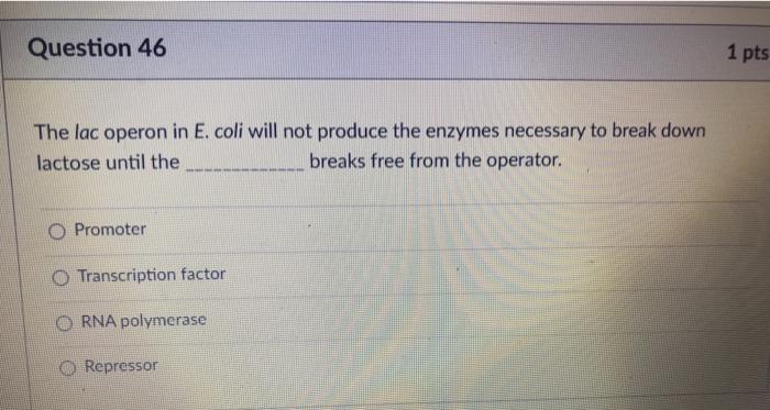 Solved Question 46 1 pts The lac operon in E. coli will not | Chegg.com