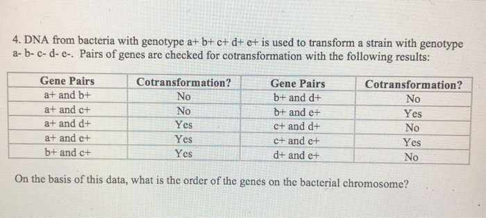 Solved 4. DNA From Bacteria With Genotype A+b+c+d+e+ Is Used | Chegg.com