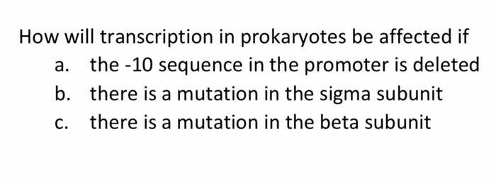 How will transcription in prokaryotes be affected if a. the -10 sequence in the promoter is deleted b. there is a mutation in