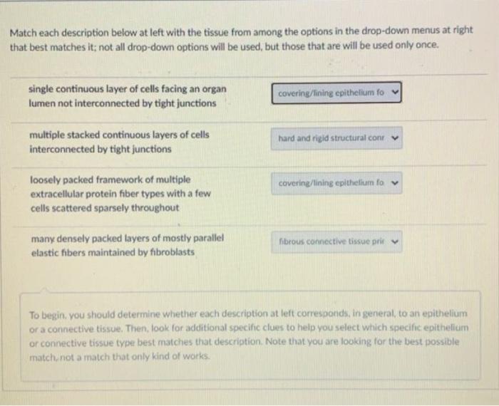 Solved Match each description below at left with the tissue | Chegg.com