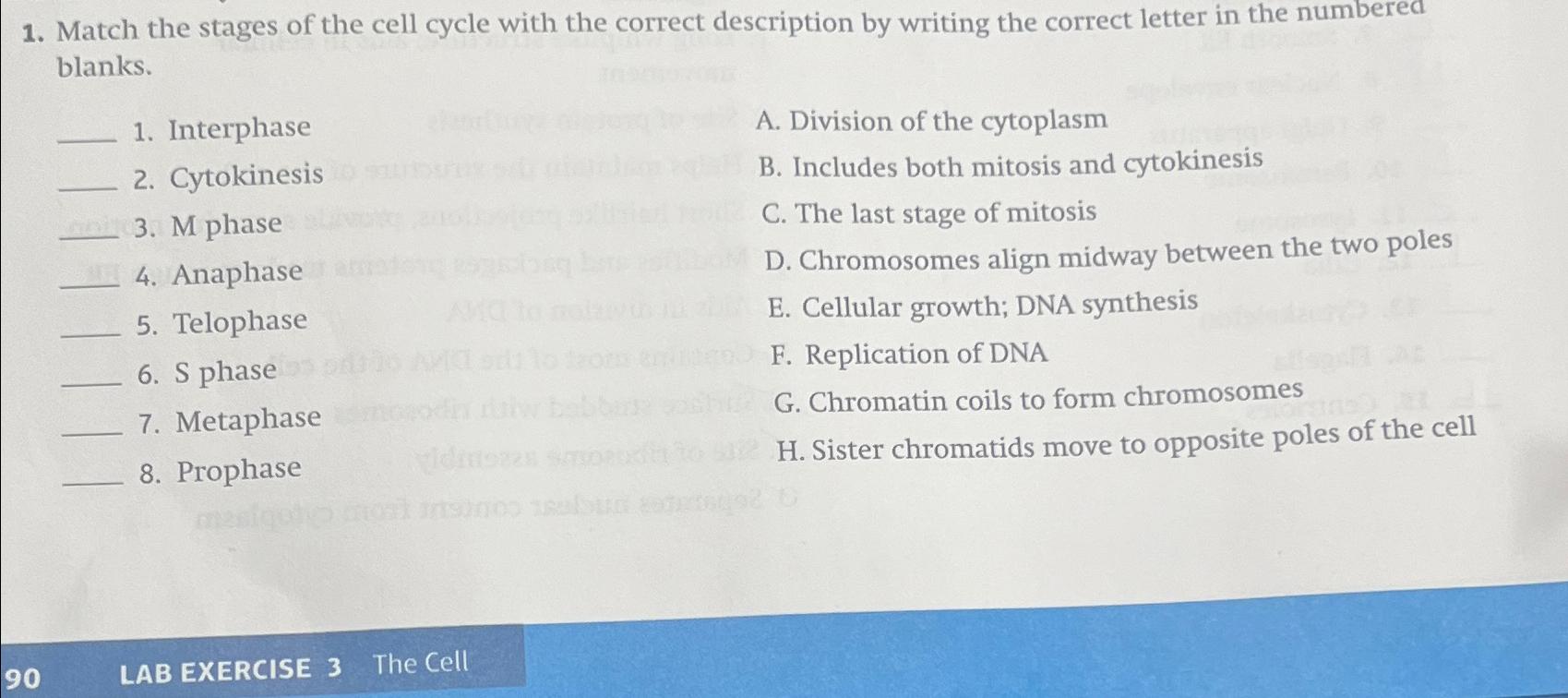 Solved Match the stages of the cell cycle with the correct | Chegg.com