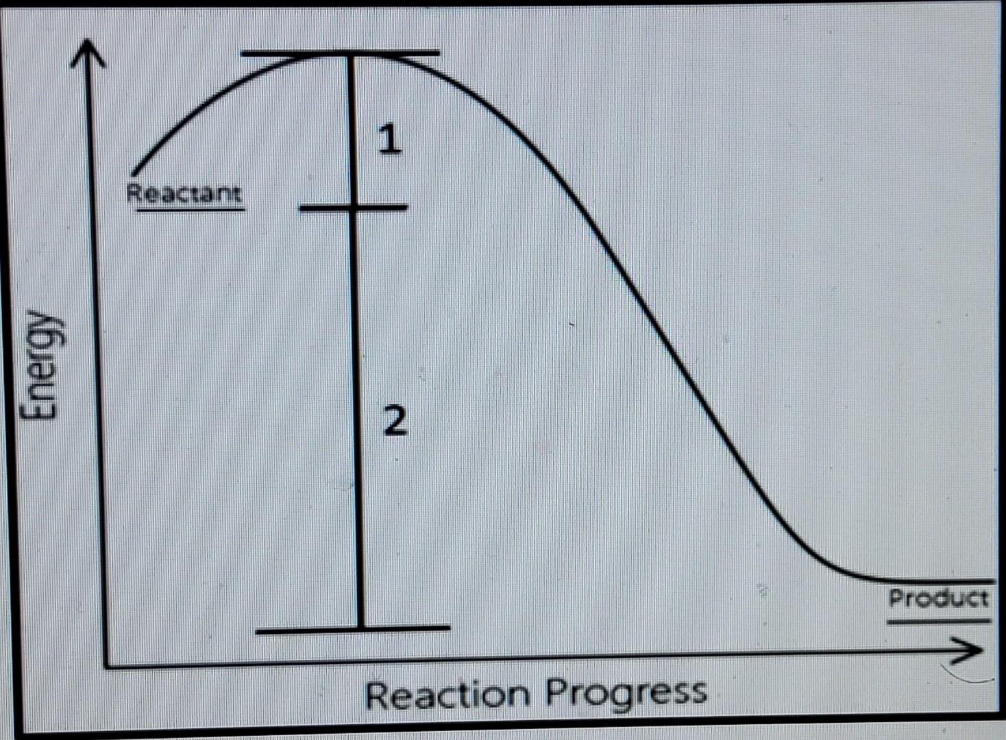 Solved How would adding an enzyme to the reaction depicted | Chegg.com