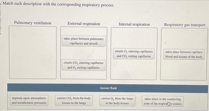 Solved Match each description with the corresponding | Chegg.com