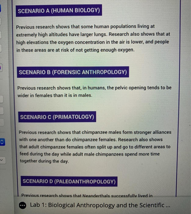 None in Three Research Centre on X: Myth: “It's only domestic