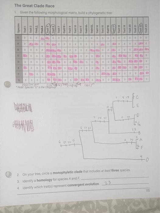 Solved The Great Clade Race 1. Given the following | Chegg.com
