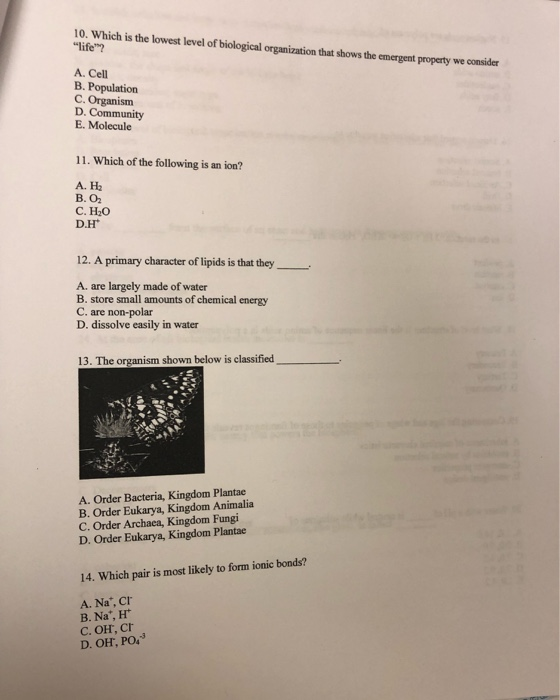 solved-10-which-is-the-lowest-level-of-biological-chegg