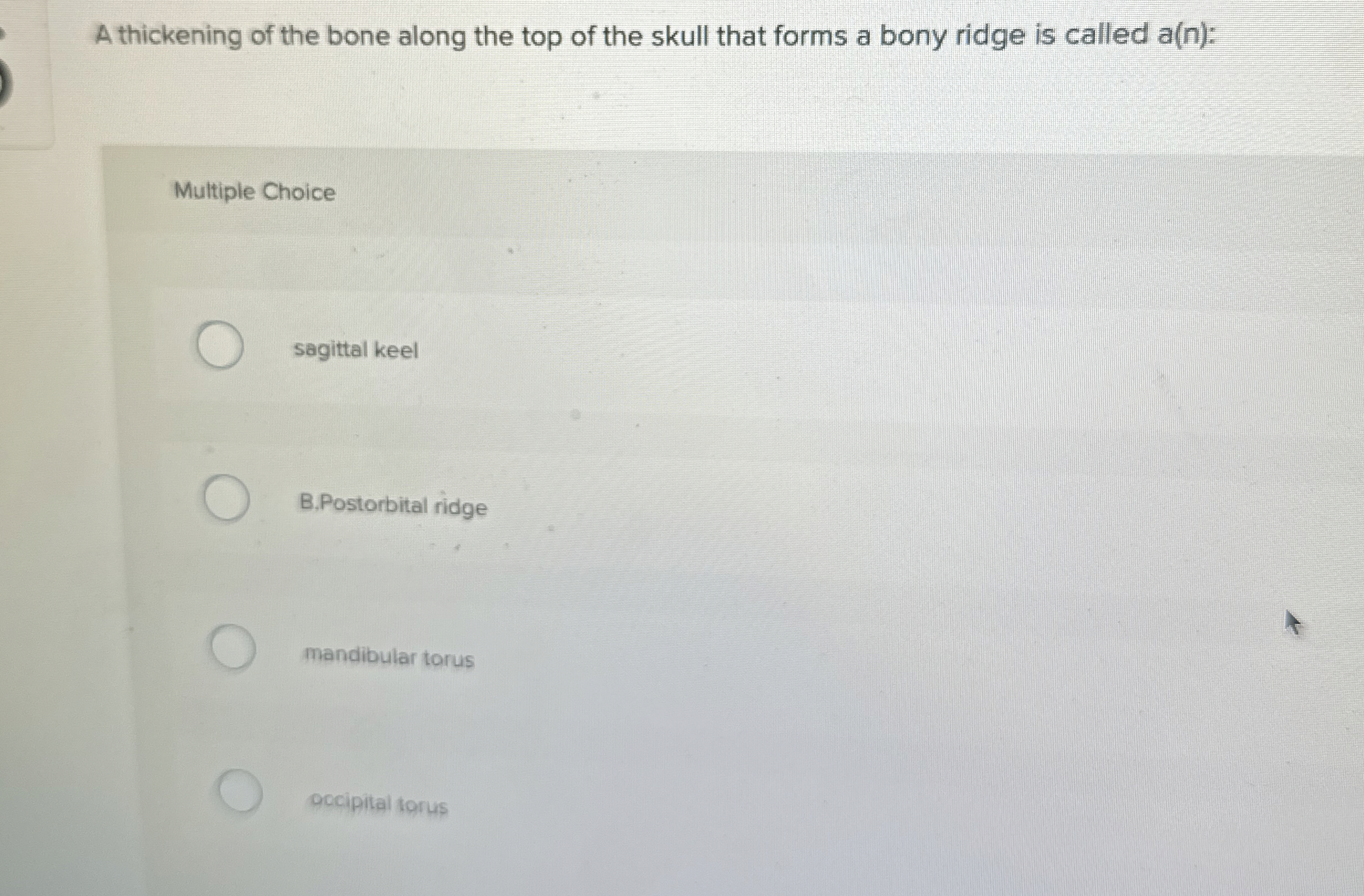 Solved A thickening of the bone along the top of the skull | Chegg.com
