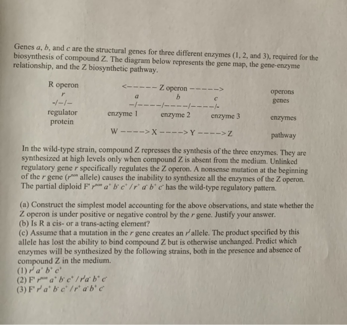 Solved Genes A, B, And C Are The Structural Genes For Three | Chegg.com