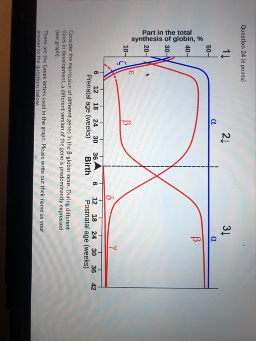 Solved Question 24 6 Points 11 Part In The Total Synthe Chegg Com