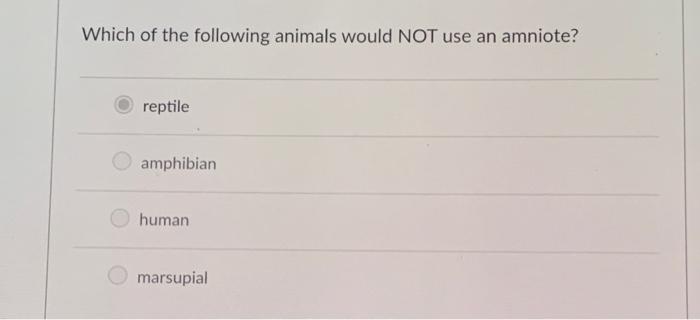 Solved Which of the following animals would NOT use an 