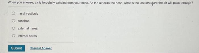 [Solved]: When you sneeze, air is forcefully exhaled from y