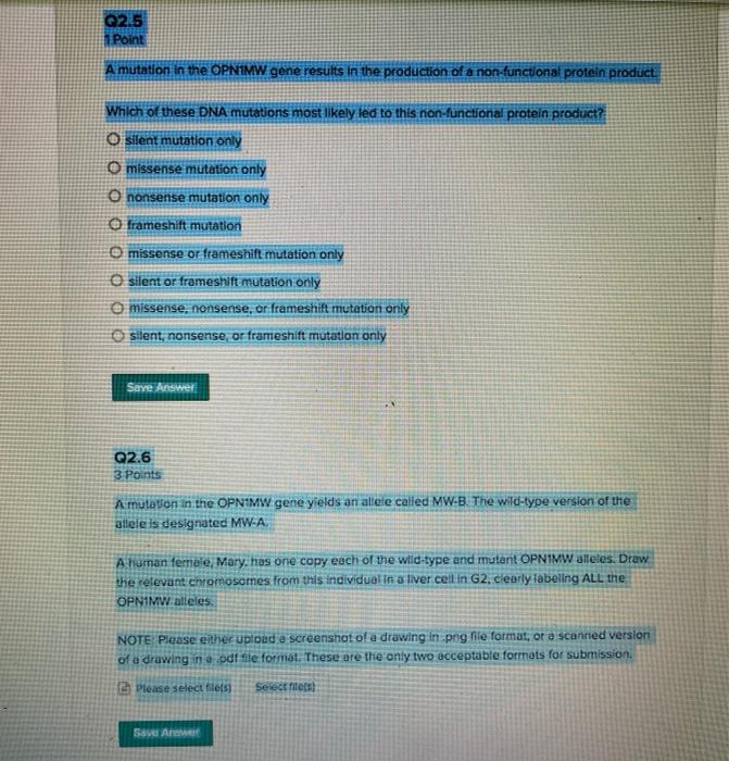 Solved Q2.3 2 Points The following is an mRNA transcript | Chegg.com