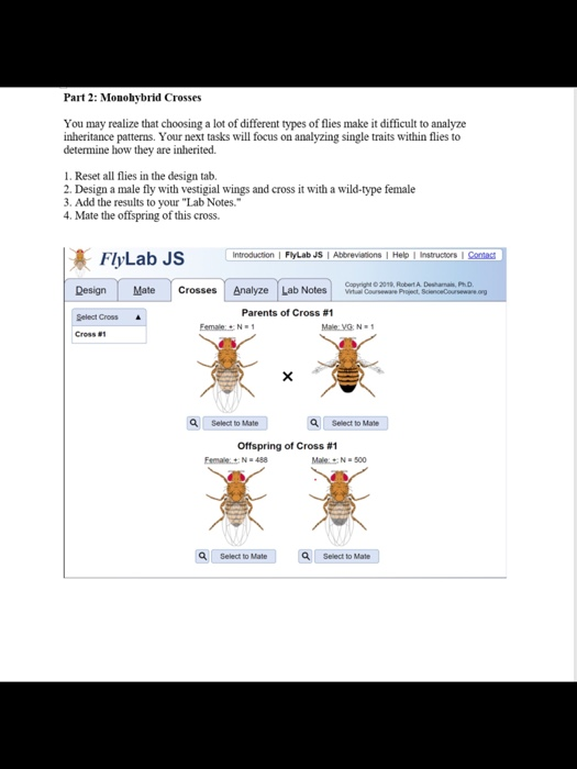 (Solved) FlyLab JS Introduction FlyLab JS Abbreviations Help