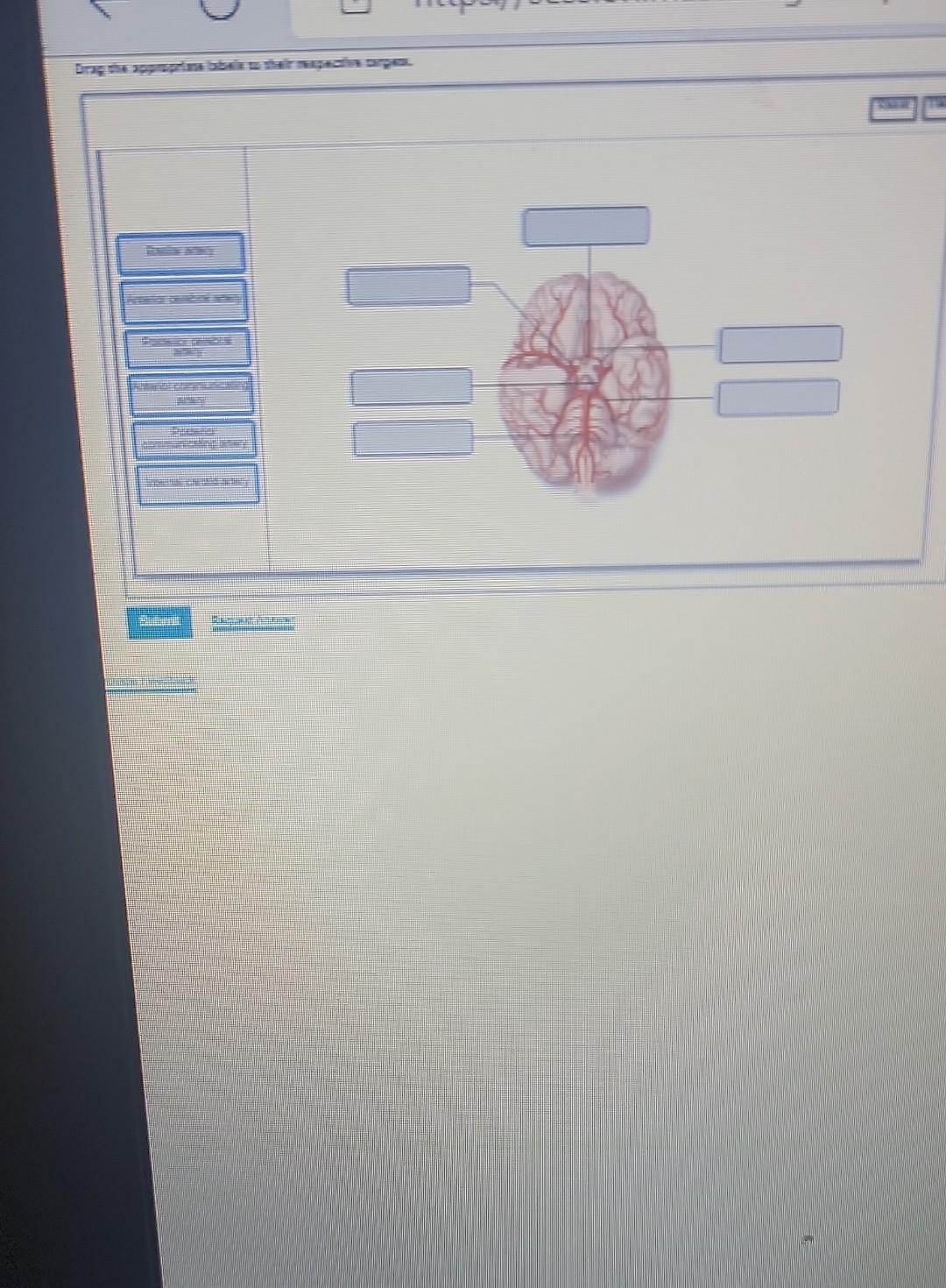 Solved 2x2 4x24 Chegg