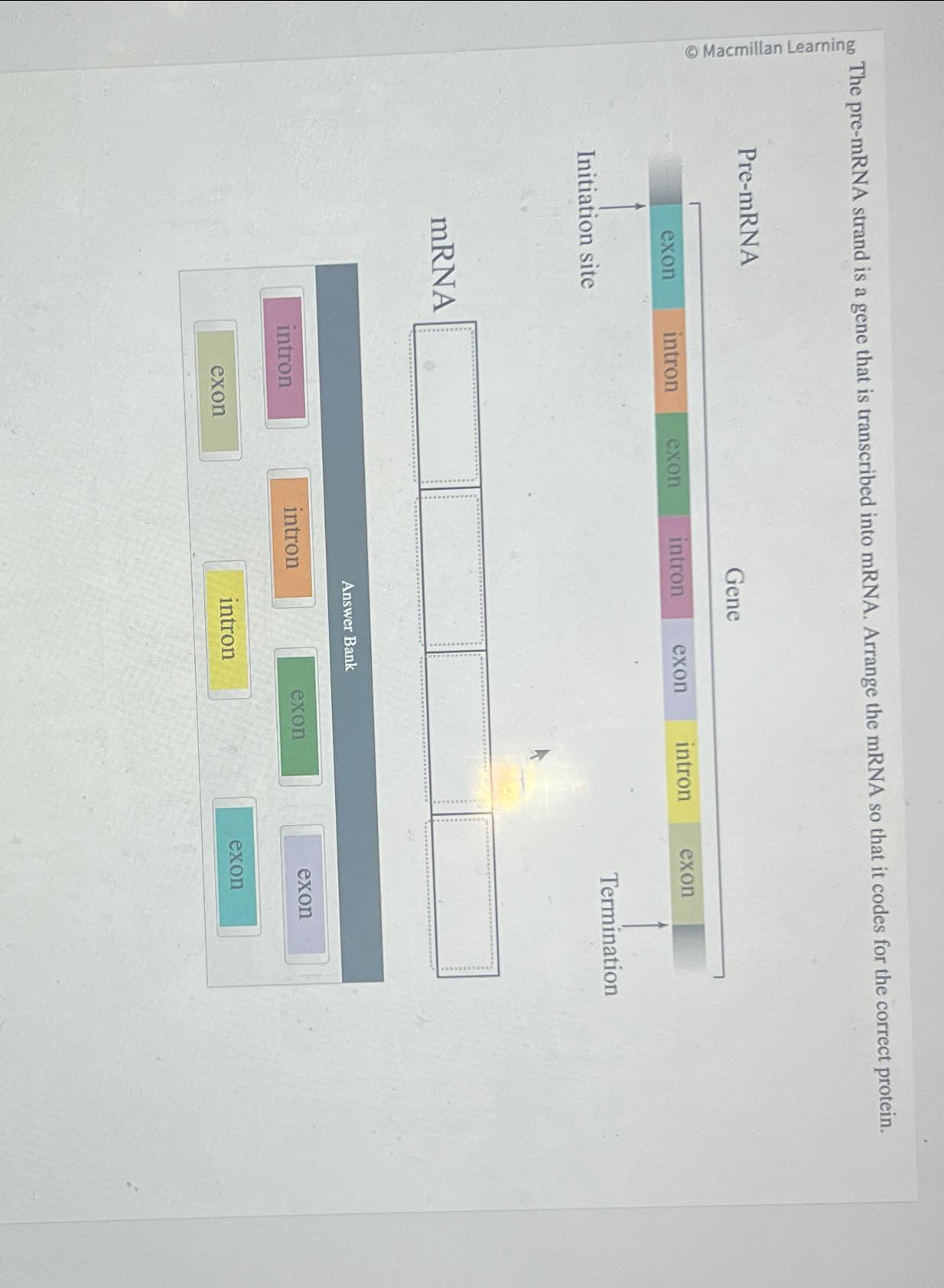 From Pre Mrna To Protein The Critical Initiation Step - 2k3diwf