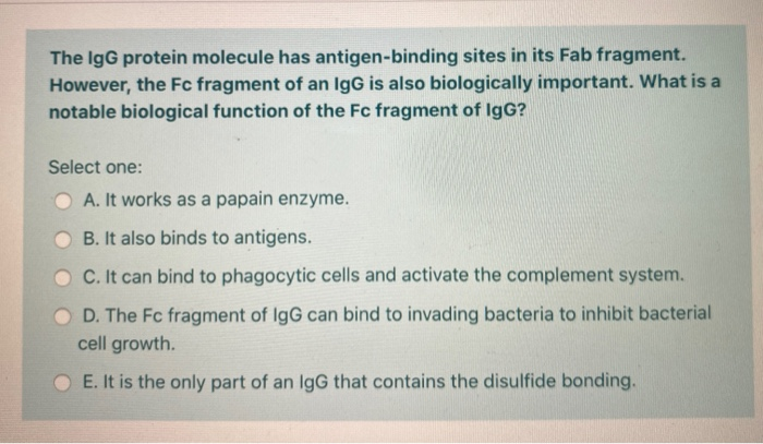 Solved The Igg Protein Molecule Has Antigen Binding Sites Chegg Com