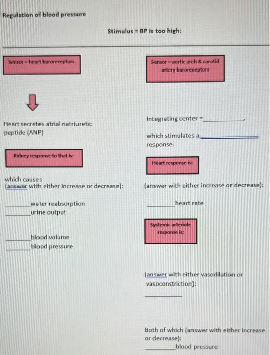 Regulation of blood pressure
Stimulus = BP is too high:
Sensor a nortic arch \& carotid artery baroreceptors
Heart secretes a