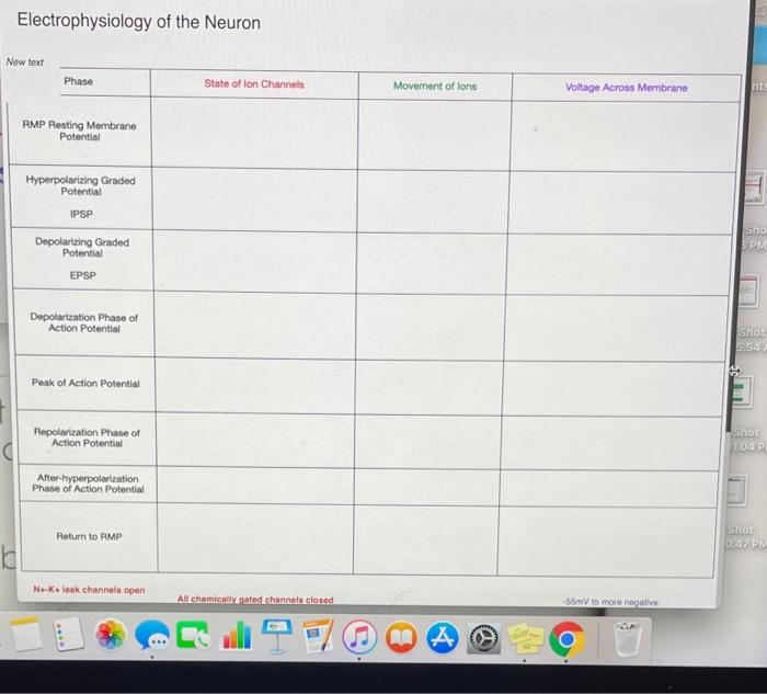 Solved Electrophysiology of the Neuron New text Phase RMP | Chegg.com