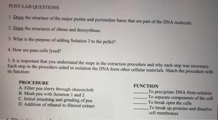 Solved POST-LAB QUESTIONS 1. Draw The Structure Of The Major | Chegg.com