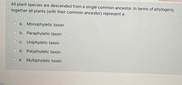 Solved All plant species are descended from a single common | Chegg.com