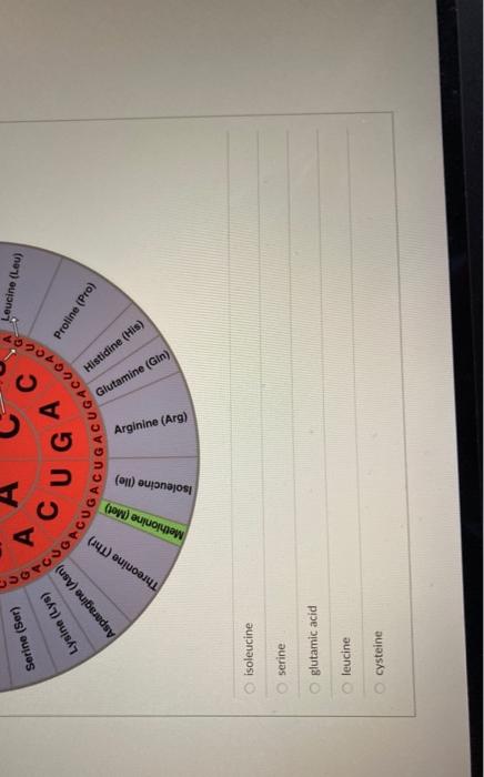 Solved Given the genetic code below, which amino acid would | Chegg.com