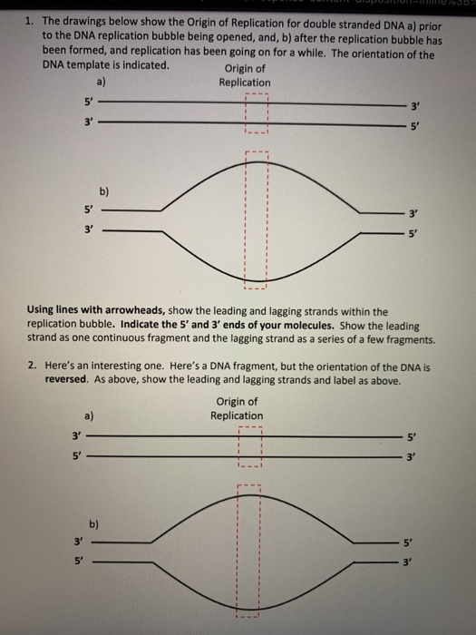 Solved I am having trouble with the second question. Could | Chegg.com