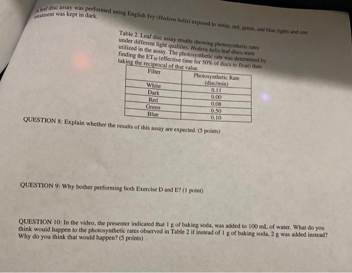 photosynthesis extra credit assignment