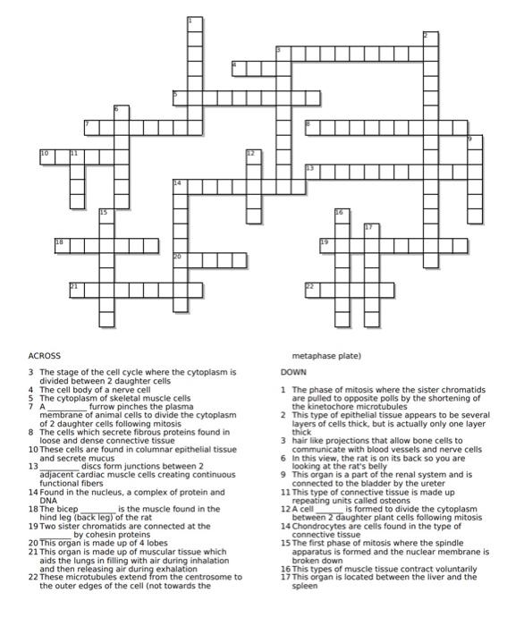 Solved ACROSS 3 The stage of the cell cycle where the | Chegg.com