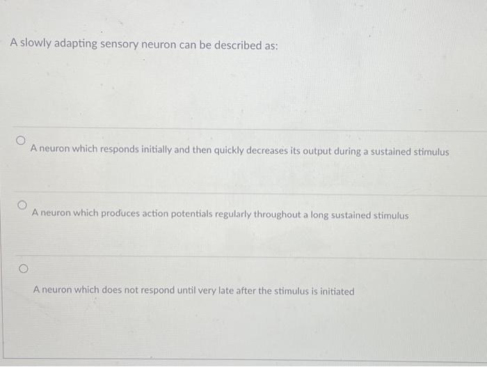 Solved A slowly adapting sensory neuron can be described as: | Chegg.com
