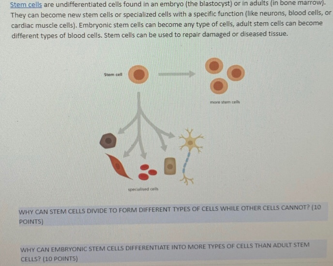 Stem Cells Are Undifferentiated Cells Found In An Chegg Com