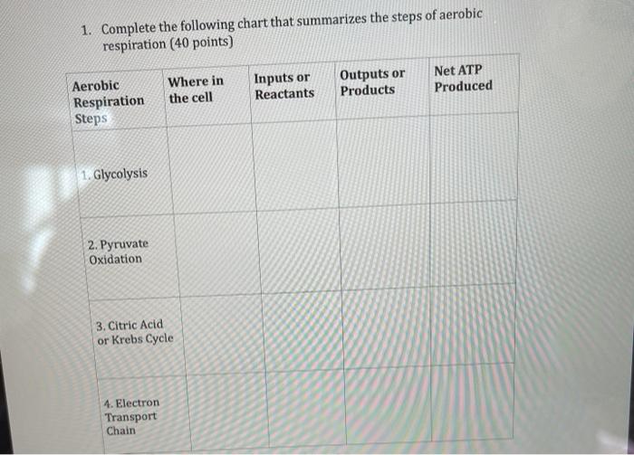 cellular respiration reactants and products chart