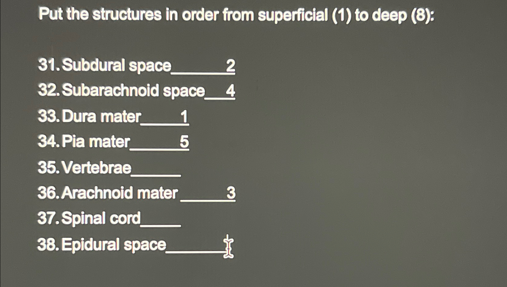 Solved Put the structures in order from superficial (1) ﻿to | Chegg.com