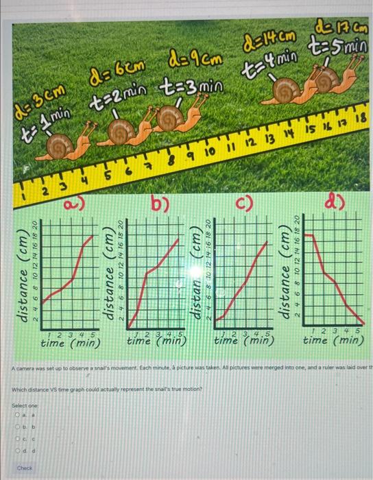 What Does Distance Vs Time Graph Represent