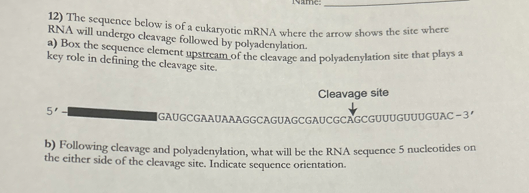 Solved The sequence below is of a eukaryotic mRNA where the | Chegg.com