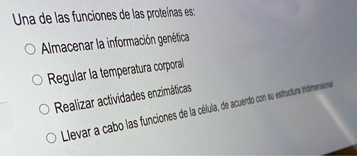 Una de las funciones de las proteínas es: Almacenar la información genética Regular la temperatura corporal Realizar activida