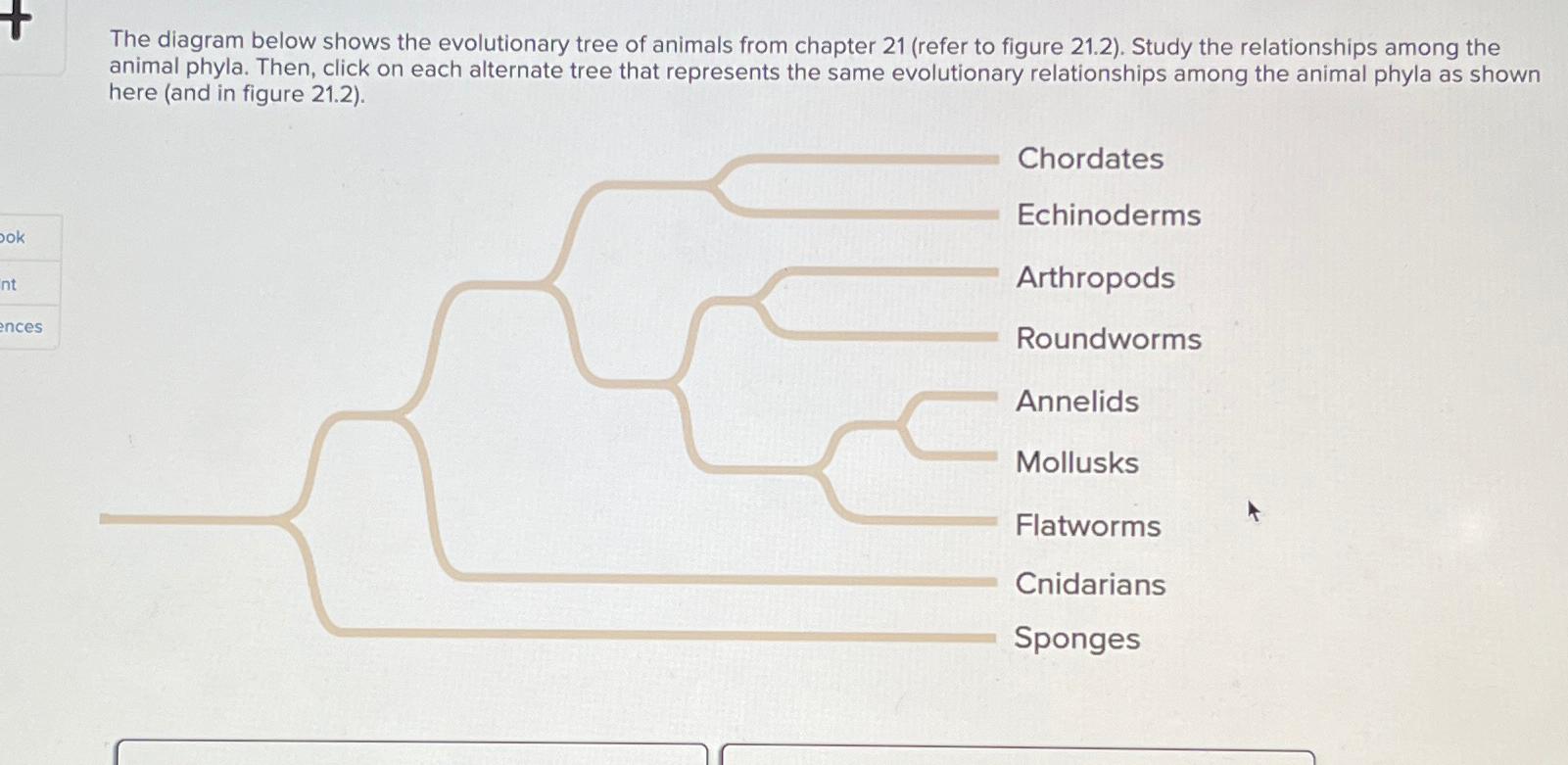 Solved The diagram below shows the evolutionary tree of | Chegg.com