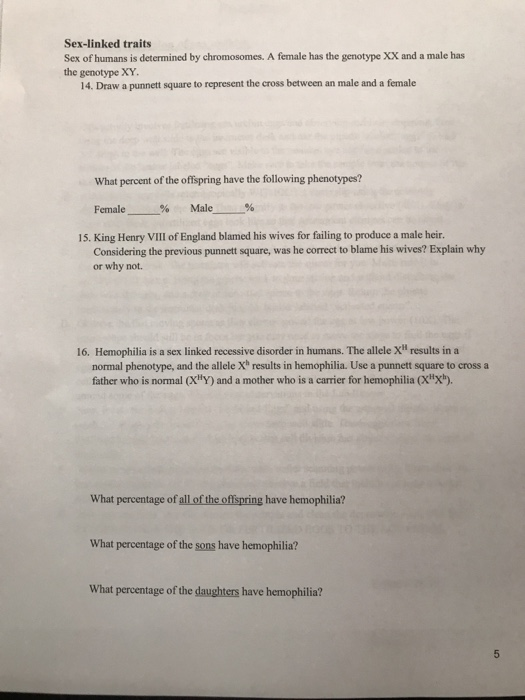 Solved Sex-linked Traits Sex Of Humans Is Determined By | Chegg.com