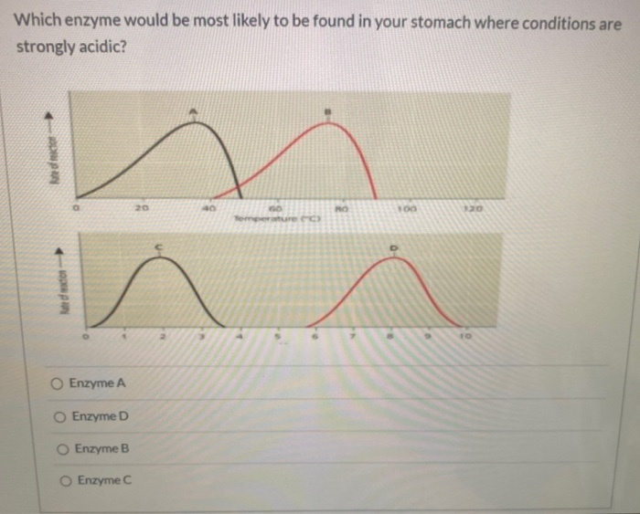 Solved There is an enzyme that catalyzes the production of | Chegg.com