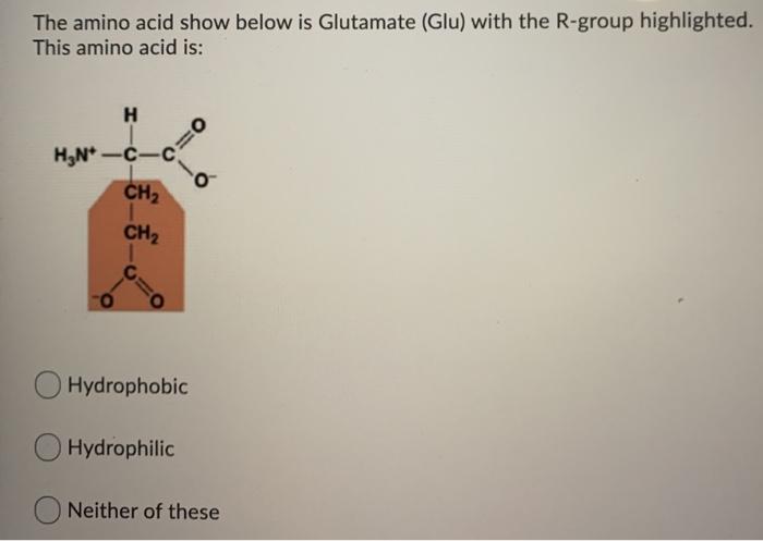 Solved The amino acid show below is Glutamate (Glu) with the | Chegg.com
