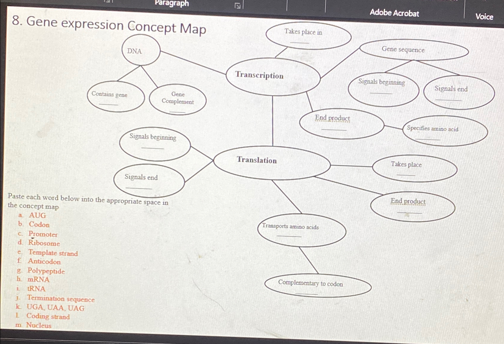 Solved Gene expression Concept MapAdobe AcrobatVoicePaste | Chegg.com