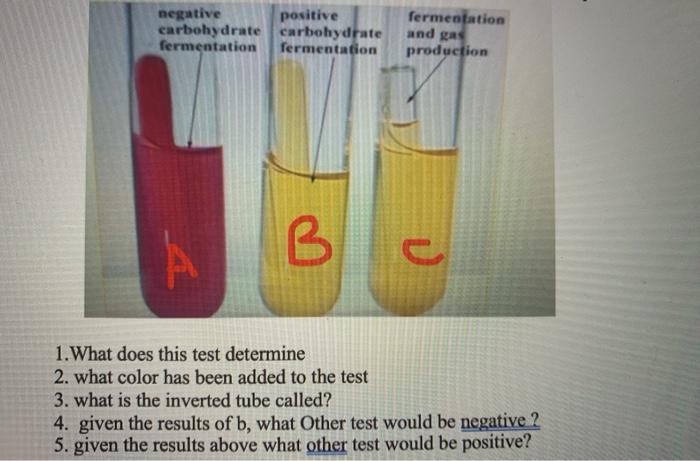 Solved fermentation negative positive carbohydrate | Chegg.com