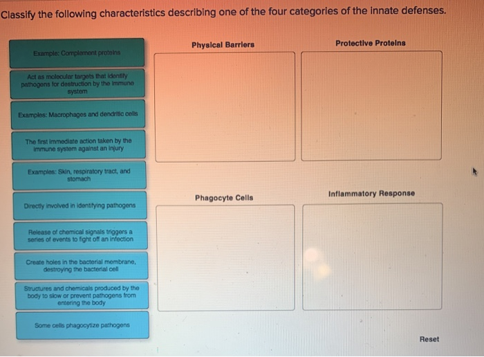 solved-classify-the-following-characteristics-describing-one-chegg