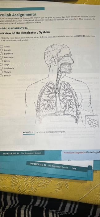 Pre-lab Assignments The what பான் காரகராமையா Preab | Chegg.com