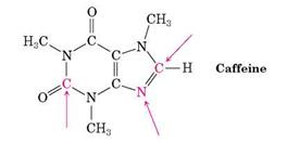 lone pairs in caffeine molecule