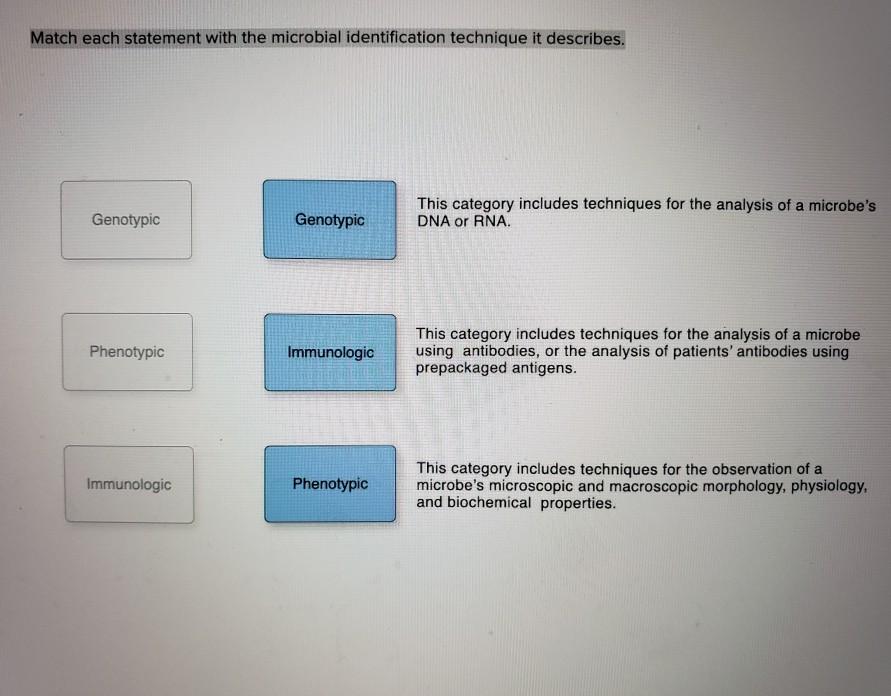 Solved Match Each Statement With The Microbial | Chegg.com