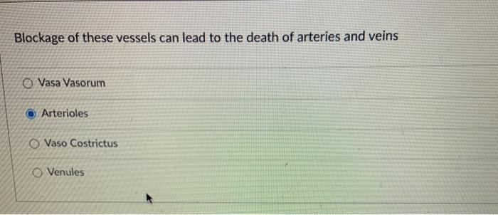 Blockage of these vessels can lead to the death of arteries and veins O Vasa Vasorum © Arterioles Vaso Costrictus O Venules