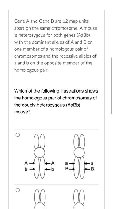 Solved Gene A and Gene B are 12 map units apart on the same | Chegg.com