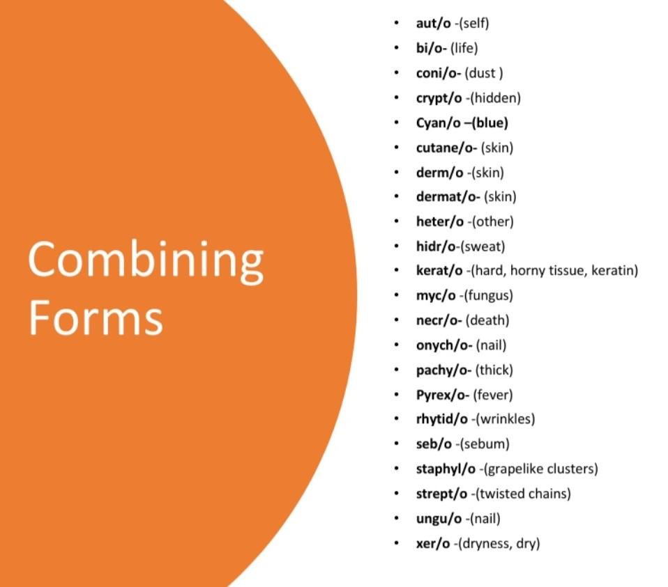 Solved Medical Terminology Template 1 Use The Medical Word Chegg