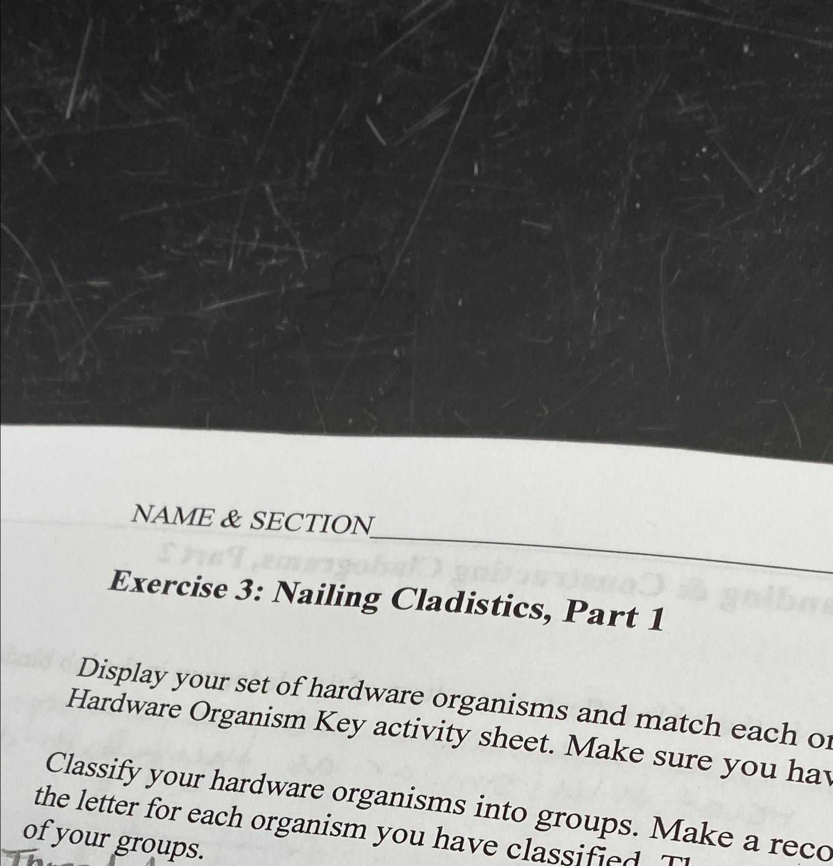 Solved NAME & SECTIONExercise 3 Nailing Cladistics, Part
