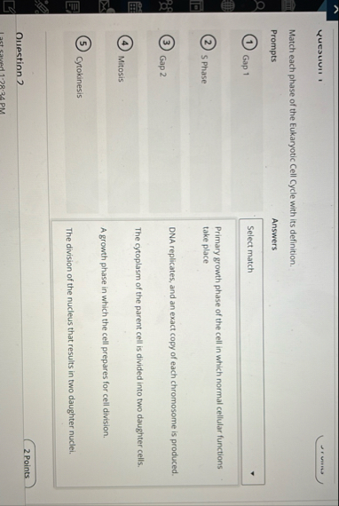 Solved Match each phase of the Eukaryotic Cell Cycle with | Chegg.com